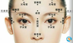 福相是什么樣子，福相的有什么特征？