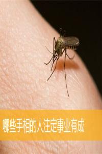哪些手相的人注定事業(yè)有成