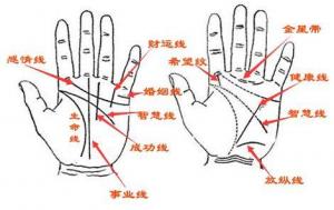 手相怎么看愛情，哪種手相的人不懂浪漫？