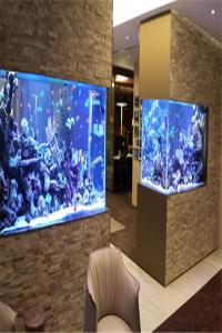 魚缸擺放風水
