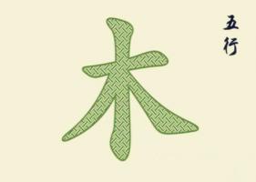 五行屬木的風水擺件有哪些