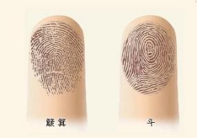 根據(jù)指紋，為你算命，解密手指頭下的人生秘密