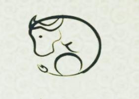 屬牛的人幾月出生最好-