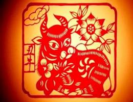 屬牛今年健康運如何
