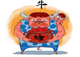 屬牛的男人對待感情如何