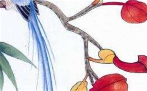 女人不能用的號(hào)碼尾數(shù) 女人不能用的號(hào)碼尾數(shù)