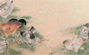 手機(jī)財(cái)運(yùn)數(shù)字 手機(jī)號(hào)最旺財(cái)?shù)臄?shù)字