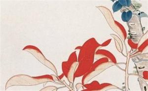 手機(jī)號(hào)后四位數(shù)字命理 旺財(cái)?shù)氖謾C(jī)號(hào)尾數(shù)