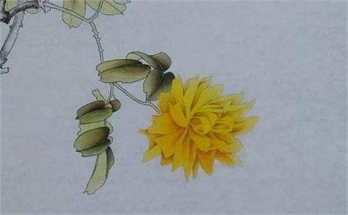 手機(jī)尾號最聚財?shù)臄?shù)字 手機(jī)尾號吉利推薦