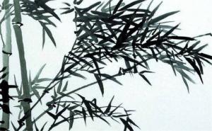 數(shù)字能量學手機號解析 手機號碼看性格事業(yè)財運