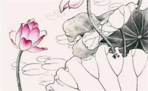 最招財?shù)臄?shù)字1到81 號碼運勢查詢手機(jī)號碼