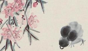客廳電視兩邊擺什么植物旺財 發(fā)財樹紅掌財源滾滾