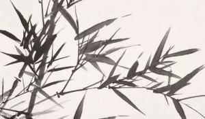 房前屋后栽什么樹(shù)最好 利于健康寓意吉祥