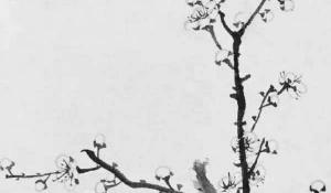 客廳沙發(fā)對(duì)面墻上掛什么畫好 花開富貴繁榮昌盛