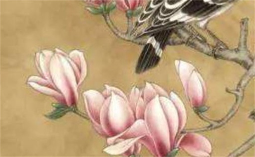 2024年農(nóng)歷正月初三出生的人命運(yùn)如何 運(yùn)勢(shì)開通福祿豐盈