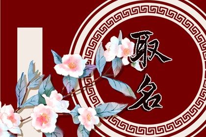2024龍年姓袁男孩最佳名字推薦