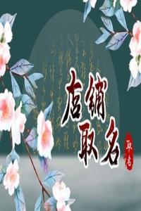 甲辰年開(kāi)電腦店用什么名字最合適