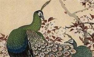 八字?jǐn)鄤踊?癸卯年容易動婚的八字是什么