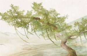 流年桃花是什么意思 桃花流年會發(fā)生什么