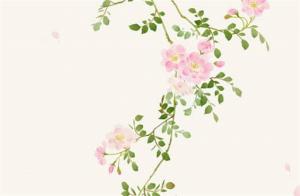夫妻宮沒(méi)有主星很好 夫妻宮無(wú)主星代表晚婚嗎