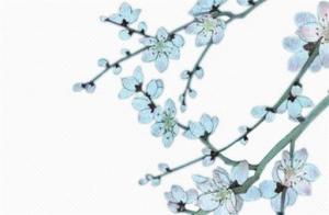 劫財(cái)格男命的最佳配偶長(zhǎng)相 劫財(cái)格男命對(duì)老婆不好嗎