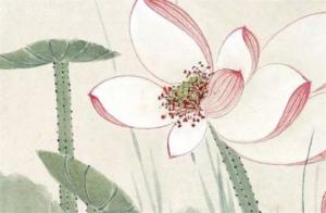 癸卯流年遇桃花好嗎  丁火遇癸卯七殺會(huì)怎樣