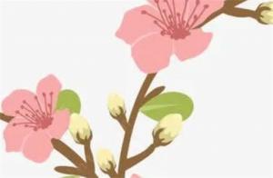 女命流年財(cái)官會(huì)結(jié)婚嗎 流年財(cái)生官女命姻緣