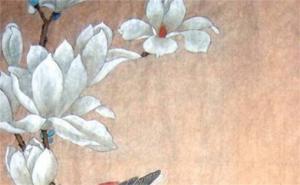 女性手機(jī)號(hào)碼有什么好最好 怎樣選手機(jī)號(hào)碼對(duì)自己有利