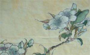 男人能不能用19和87的號(hào)碼 越用越好的數(shù)字號(hào)碼