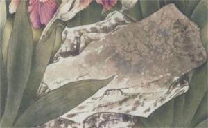 手機(jī)尾號(hào)11111好不好 號(hào)碼5678和1111哪個(gè)好