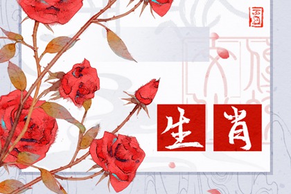 哪個(gè)生肖最傻最天真，腦子轉(zhuǎn)不過(guò)彎來(lái)