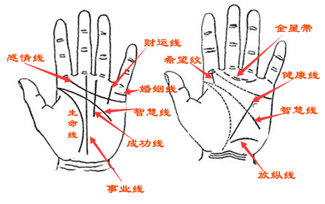 手相流年圖算命百發(fā)百中