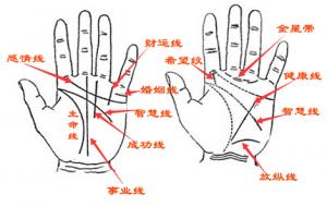 手相與年齡對(duì)照?qǐng)D，手相流年年齡段圖解！