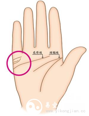 旺夫相女人手相特征 女性旺夫手是怎么樣的 旺夫相女人手相特征 女性旺夫手是怎么樣的