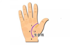 雙重生命線代表什么呢？有什么含義呢？