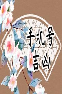 號(hào)碼吉兇測(cè)算,絕命磁場(chǎng)加伏位磁場(chǎng)，讓你兢兢業(yè)業(yè)還缺錢。