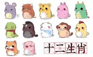 十二生肖哪個(gè)屬相好