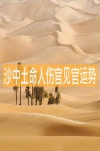 沙中土命人傷官見官運(yùn)勢(shì)解析 會(huì)有財(cái)運(yùn)嗎