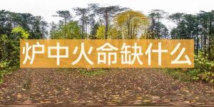 爐中火命五行缺木怎么辦