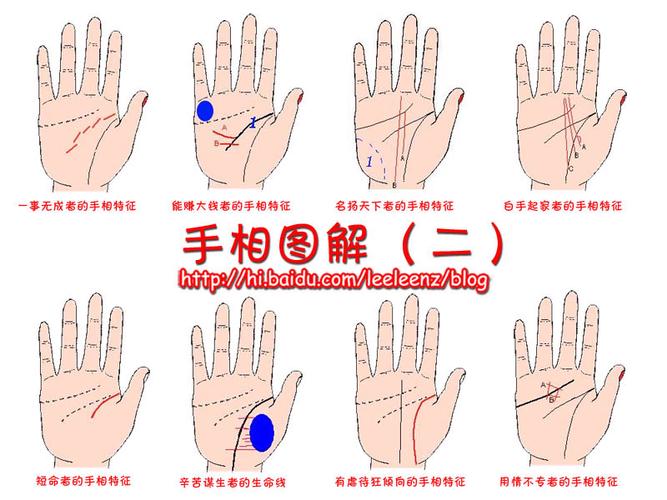 如何看手相圖解 教你輕松看懂手相