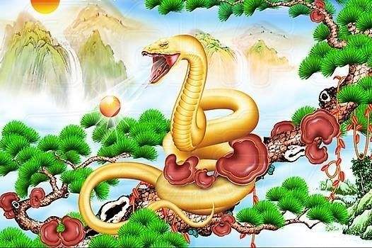 2025蛇是什么命 五行屬什么