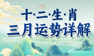 2024年3月十二生肖運勢及運程詳解