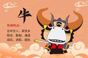 2025屬牛要小心一個(gè)人