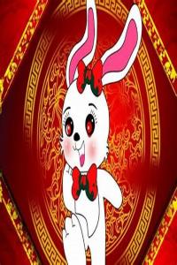 屬兔的和什么屬相相克？