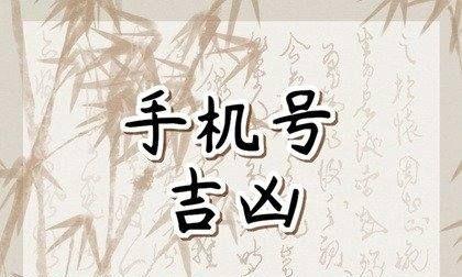 手機(jī)號碼什么數(shù)字組合最好