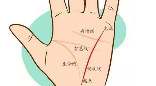 女人手相事業(yè)線圖解大全，女人手相事業(yè)線怎么看？