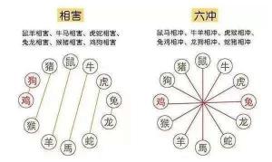 生肖相沖真的不能在一起嗎，怎么化解？