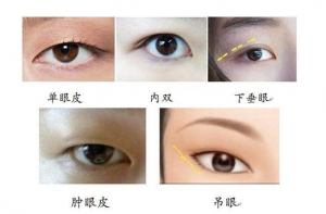 大眼睛的女人性格特點，女人眼睛形狀看相！