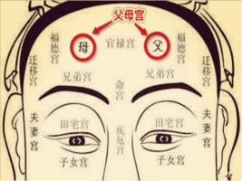 日月角突出的面相，日月角突出必為貴人
