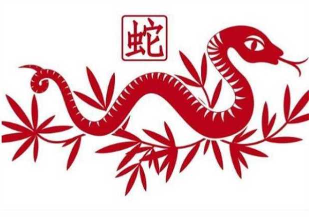 屬蛇的和什么屬相最配、相克